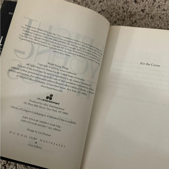 Bright Young Things Hardback book by Anna Godbersen - Picture 4 of 5